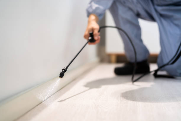 Licensed Termite Control service in Sulligent, AL - Nex Pest Control
