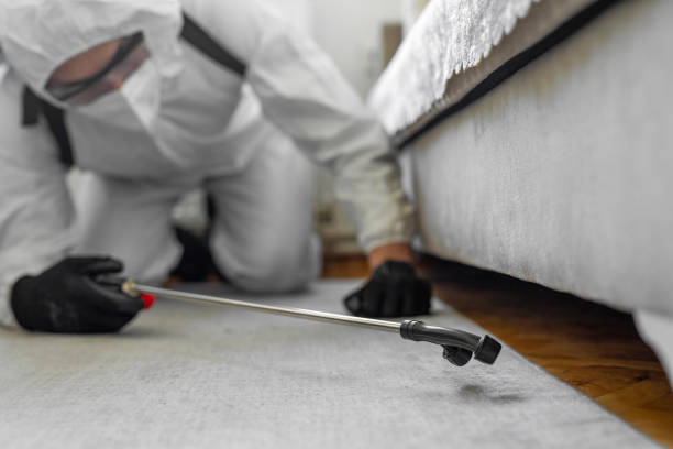 Professional Termite Control technician working in Sulligent, AL