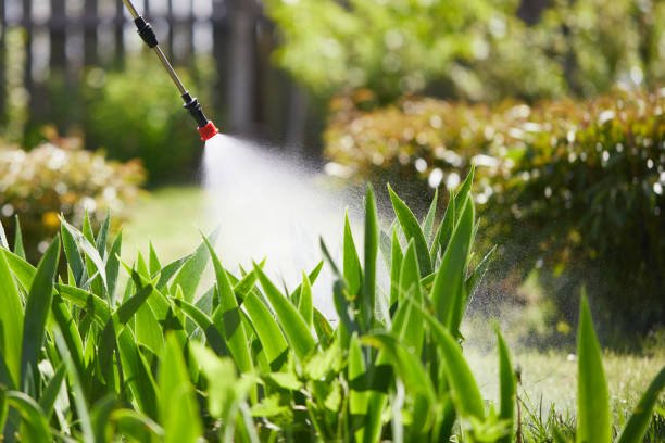 24/7 Emergency Termite Control experts in Sulligent, AL