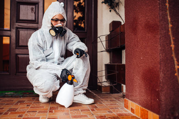 Reliable Termite Control contractor in Sulligent, AL by Nex Pest Control