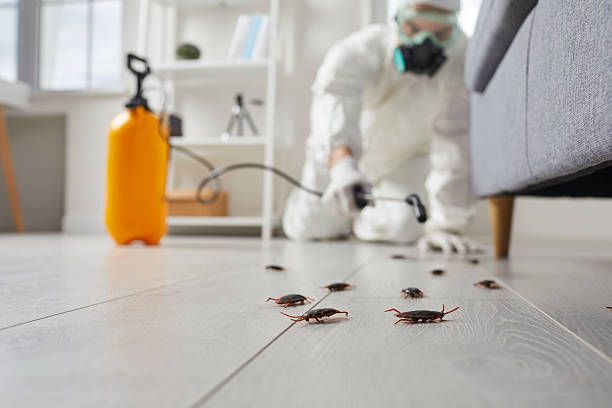 Affordable Termite Control solutions in Sulligent, AL
