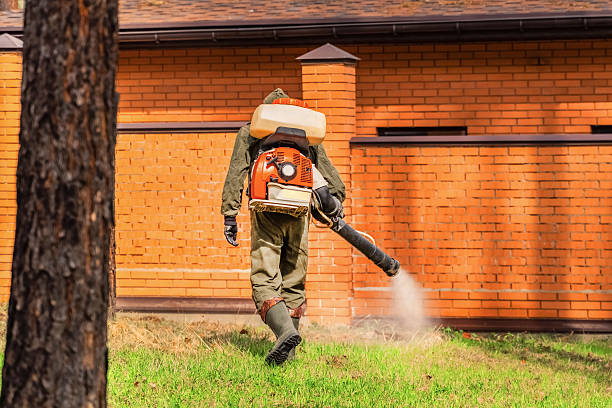 Top rated local Termite Control specialists in Sulligent, AL